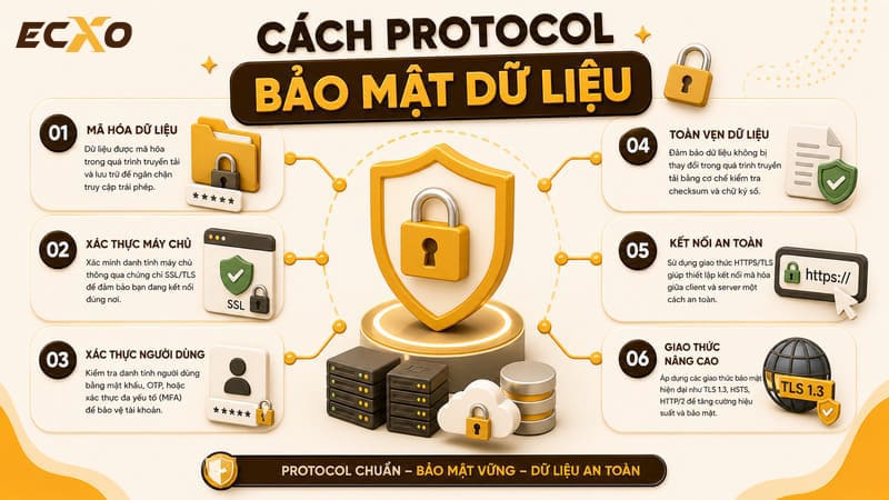 Cách Protocol bảo mật dữ liệu - ECXO