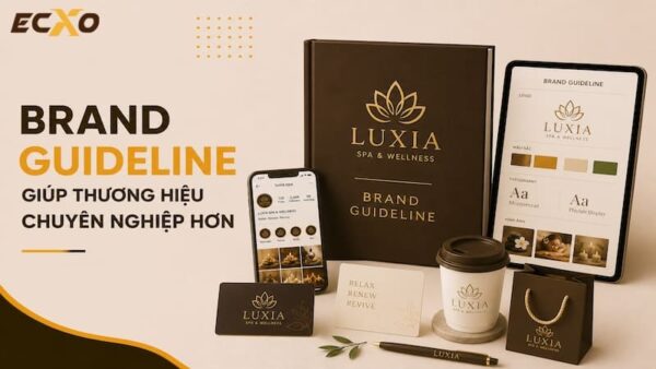 Brand Guideline và Branding Marketing là gì? Tìm hiểu Logo Guideline - ECXO