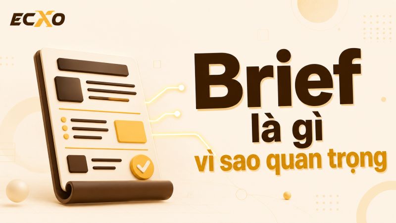 Brief là gì? Tìm hiểu khái niệm và cách tạo một bản brief hoàn hảo - ECXO