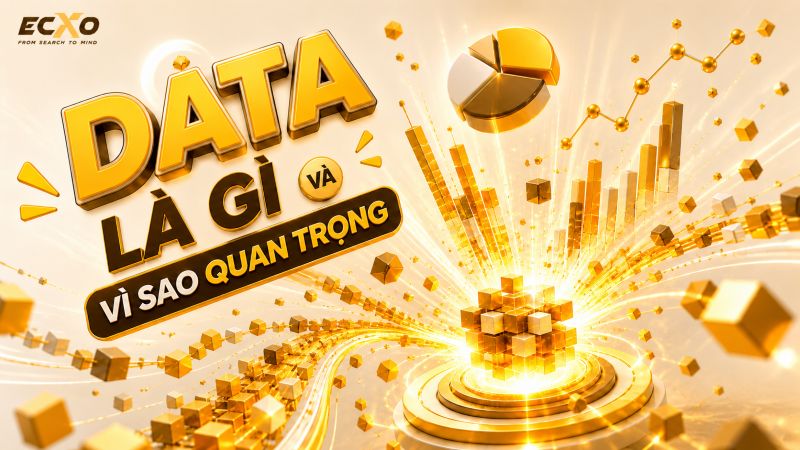Data là gì? Hiểu rõ khái niệm, vai trò và ứng dụng của dữ liệu - ECXO