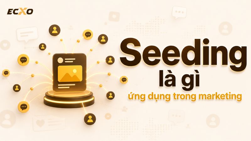 Seeding là gì và cách áp dụng hiệu quả trong chiến dịch marketing - ECXO