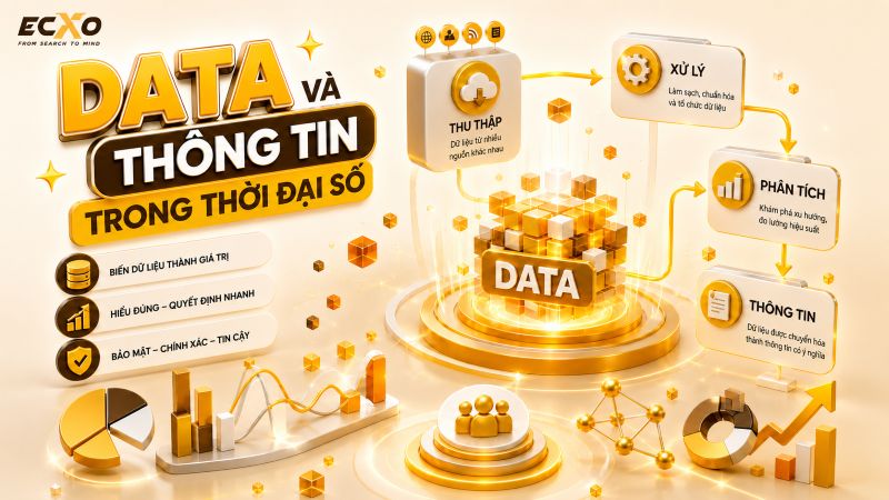 Data là gì? Tổng quan về data trong kỷ nguyên số - ECXO